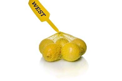 Netlon - citroenen