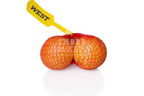 Netlon - Grapefruit