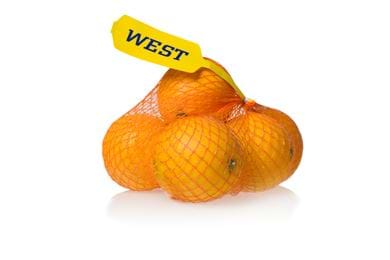 Netlon - oranges