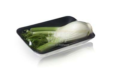 Foodtainer - fennel